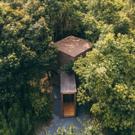 Forest Cabins, College Architecture, Exhibition Building, Forest Cabin, Nature Museum, Museum Architecture, Forest House, Architecture Exterior, Island Resort