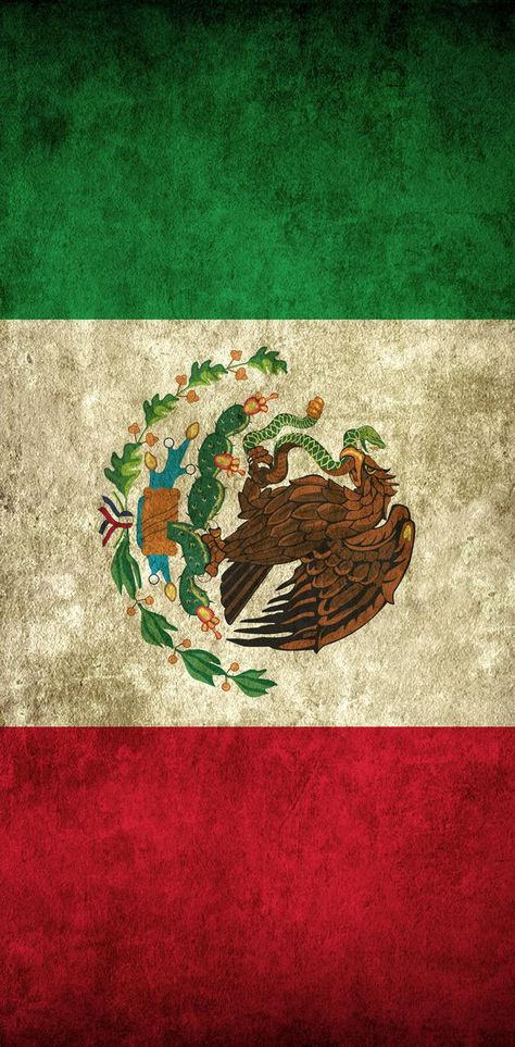 Tumblr, Mexican American Culture, Mexico Wallpaper, Mexican Revolution, Mexican Culture Art, Aztec Warrior, Mexican Heritage, Mexican Flag, Mexican Flags