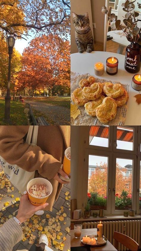 Candles, Collage, Trees, Fall Aesthetic, Autumn Leaves, Drinks