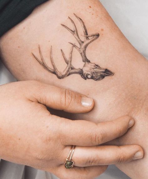 Beautiful Skull Tattoo, Deer Tattoo Design, Deer Antler Tattoo, Deer Skull Tattoo, Buck Tattoo, Deer Tattoos, Amazing Tattoo Ideas, Antler Tattoos, Elk Tattoo