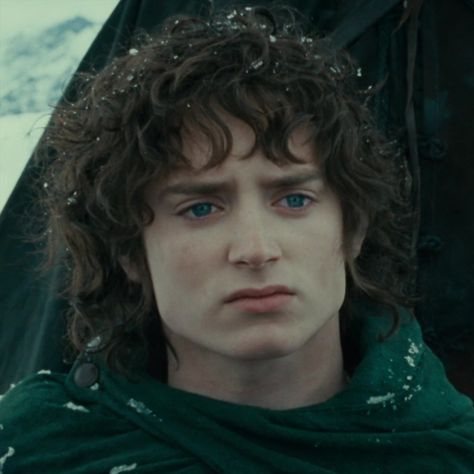 Frodo Aesthetic, Amycus Carrow, Aesthetic Lord Of The Rings, Lord Of The Rings Aesthetic, Hobbit Aesthetic, Cottagecore Icons, Lotr Cast, Samwise Gamgee, The Fellowship Of The Ring