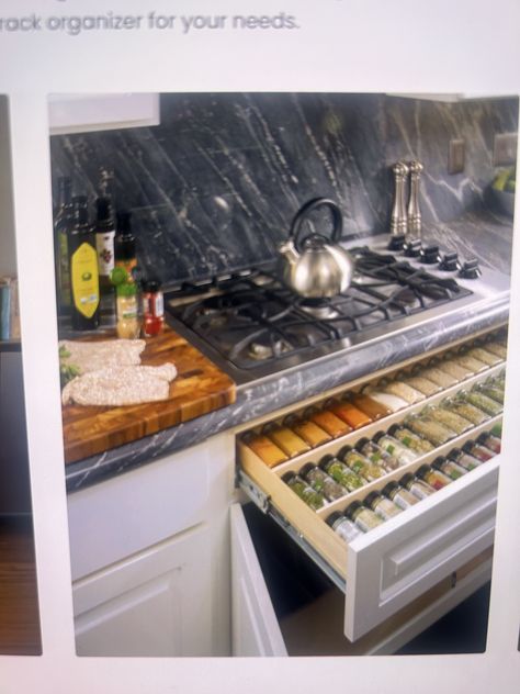 Spice Drawer, Kitchen Pantry Design, Kitchen Solutions, Diy Kitchen Storage, Kitchen Room Design, Pantry Design, Kitchen Cabinet Design, Kitchen Remodel Idea, Diy Kitchen