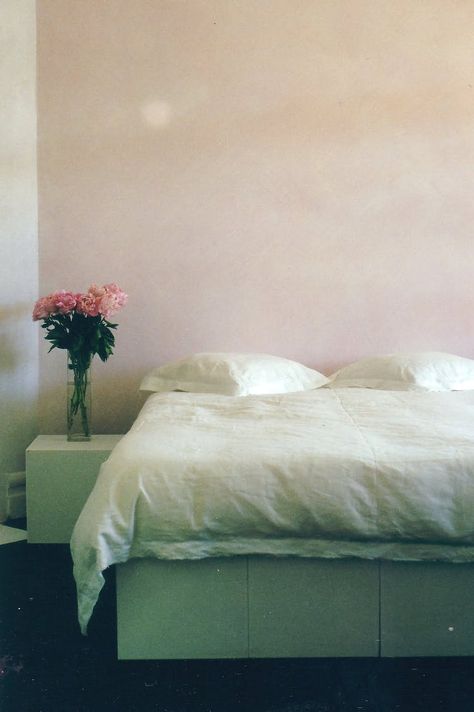 Apple Blossom Pink Limewash, Limewash Walls, Indoor Paint, Limewash Paint, Lime Paint, Kitchen Wall Colors, Color Lab, Paint Companies, Storing Paint