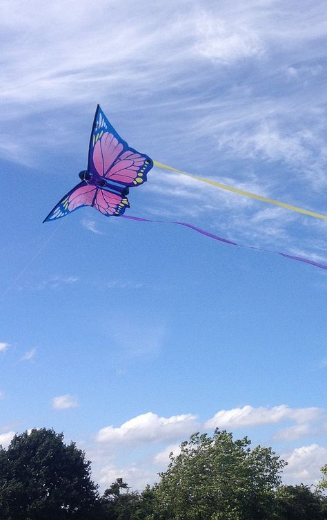 Kite Aesthetic Photography, Kite Festival Photography, Pink And Blue Butterfly, Butterfly Kite, Big Kites, Kite Designs, Kite Festival, Butterfly Designs, Butterfly Drawing