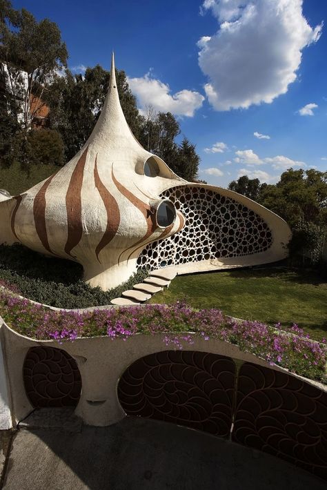 Nautilus House - Unusual shell-shaped house built by Senosian Arquitectos in 2005. Naucalpan, Estado de Mexico, Mexico. Nautilus House, Architecture Cool, Architecture Unique, Crazy Houses, Organic House, Earthship Home, Shell House, Unusual Buildings, Unusual Homes