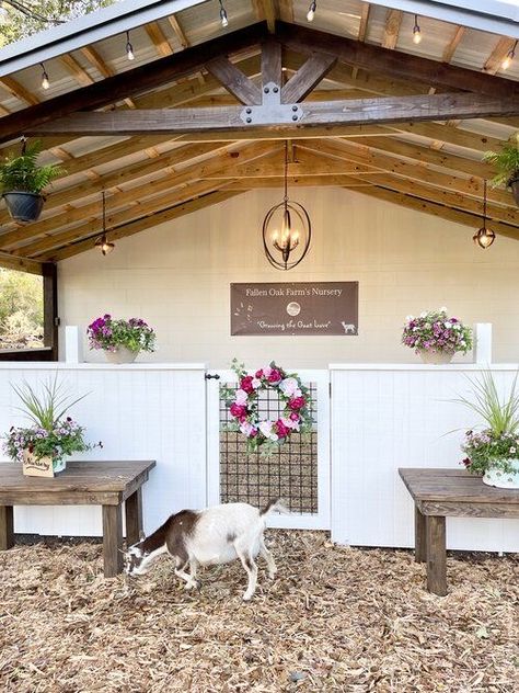 Cute Goat House, Mobile Home With Metal Roof, Shed With Overhang Porch, Chicken And Goat Pen, Backyard Goat Pen Ideas, Farm Animal Enclosures, Goat Stalls In Barn, Goat Waterer Ideas, Goat Shed Ideas