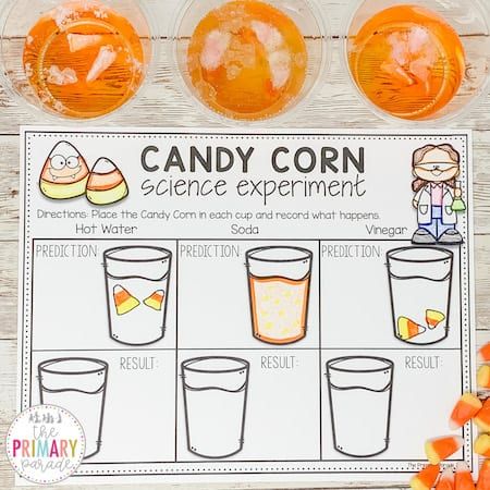 Halloween science experiment with candy corn is a fun way to explore science this Fall. Your students will love this Candy Corn experiment and discover what happens when this fall candy is placed in different liquids. Candy Corn Science Experiment, Corn Science Experiment, Candy Corn Science, Science Experiment Worksheet, Fall Science Activities, Prek Activities, Science Area, Work Planning, Night Creatures