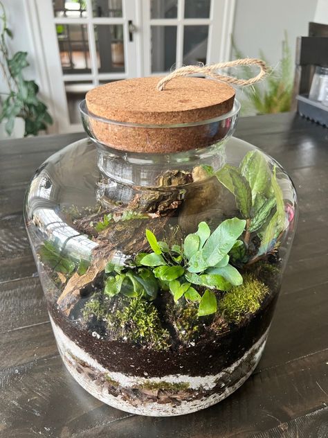 How to Create a Closed Terrarium - The Thrifted Planter What To Do With Jars Ideas, How To Terrarium, How To Make A Terrarium In A Jar, How To Build A Terrarium, How To Make A Terrarium, Jar Terrarium Diy, Terrarium In A Jar, Botanical Crafts, Terrarium Closed