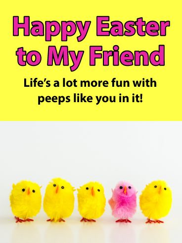 This bright, festive Easter card for a friend brings with it everyone’s favorite holiday treat, Peeps! It’s the best way to bring out lots of laughs for someone who makes life a lot more fun, just by being around! They’re sure to get a kick out of this cute greeting while thinking about how sweet you are for sending it! Happy Easter Quotes Friends, Funny Easter Wishes, Easter Wishes Messages, Kids Easter Cards, Funny Cards For Friends, Birthday Greetings For Sister, Easter Pics, Happy Easter Funny, Happy Easter Pictures