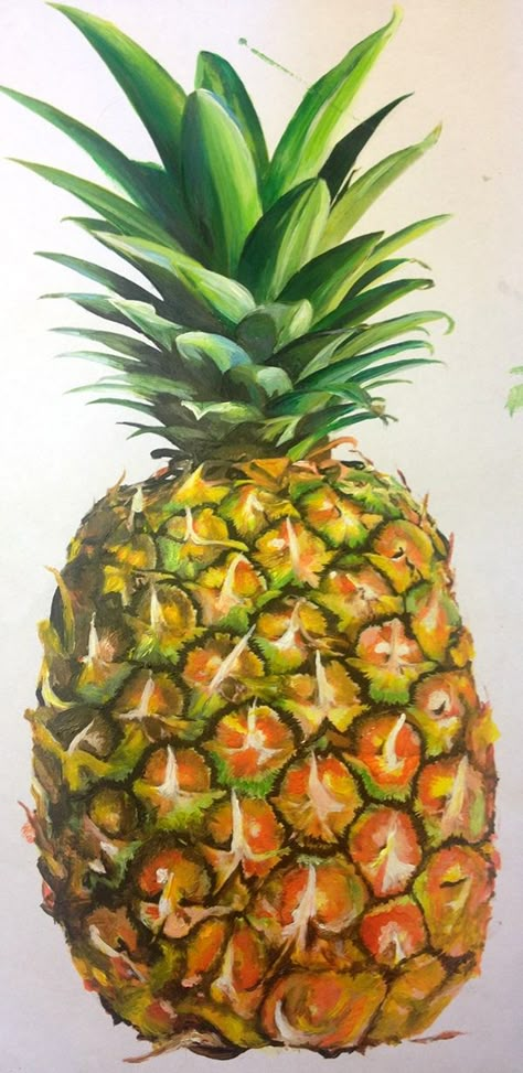 Pineapple Study on Behance Oil Pastel Pineapple, Pineapple Oil Painting, Pineapple Art Drawing, Pineapple Painting Ideas, How To Paint A Pineapple, Pineapple Painting Acrylics, Drawing Of Pineapple, Pinapple Art, Flower Drawings Simple