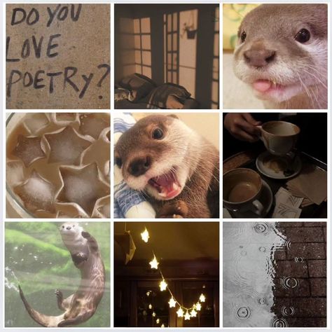 Otter mood board this one was a request from @finn.the.star #moodboard #moodboards #moodboardaesthetic #otter #otters #otterlife #otterlove #ottercute #star #rain #brown #lightbrown #brownaesthetic #lightbrownaesthetic Otters Aesthetic, Otter Therian, Otter Aesthetics Cute, Otter Plushie Aesthetic, Animal Mood Boards Aesthetic, Otters Cute, Otter Love, Sea Otter Memes, Adopt Idea