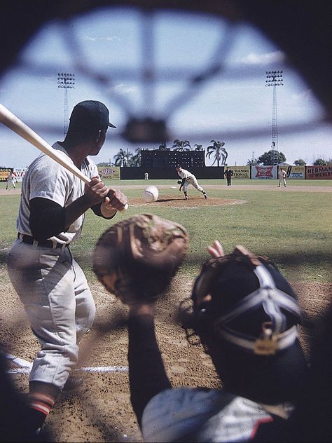 John G. Zimmerman for SI Baseball Umpire, Baseball Tips, Baseball Photography, Baseball Pictures, Baseball Photos, Baseball Baby, Spring Training, Man Up, Photo Blog