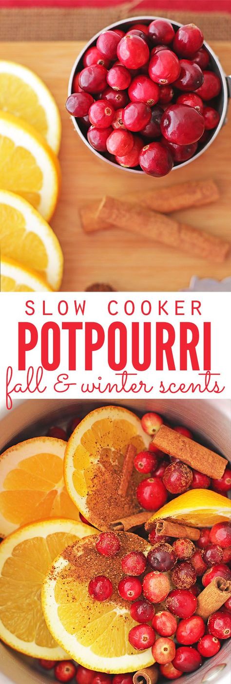 I love this easy recipe for slow cooker potpourri - it smells just like Christmas! I can leave it out all day long and don't have to worry about burning down the house, OR it can be adapted for stove top potpourri too. Plus there's ideas to turning homemade potpourri into an easy homemade Christmas gift! :: DontWastetheCrumbs.com Winter Potpourri, Homemade Potpourri, Simmer Pot Recipes, Stove Top Potpourri, Easy Homemade Christmas Gifts, Simmering Potpourri, Potpourri Recipes, Easy Homemade Gifts, Exterior Christmas