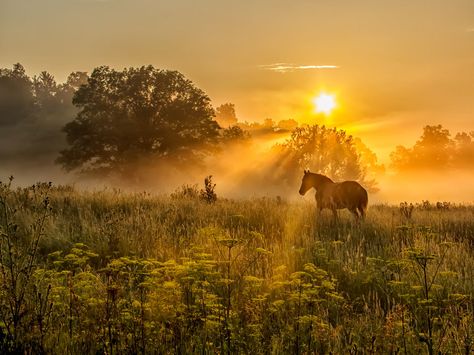 USA Landscape Photographer of the Year | Landscape Photography | Landscape Pictures - Charlie Waite Photography Affordable Landscaping, Usa Landscape, Sunset Landscape Photography, Country Sunset, Breathtaking Photography, Beautiful Landscape Photography, Landscape Sunset, Fine Art Landscape Photography, Horse Wallpaper