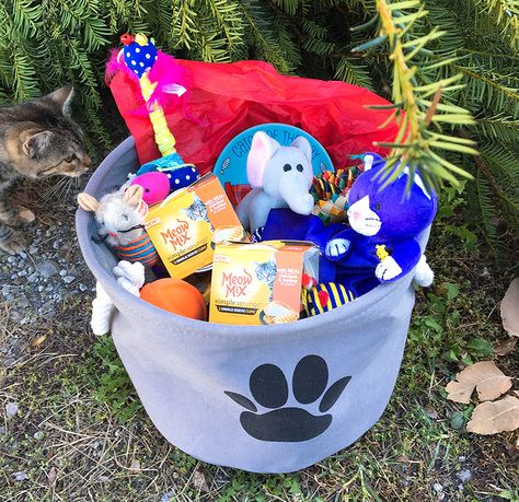 Cat Raffle Basket Ideas, Doggie Gift Basket Ideas, Cat Gift Basket Ideas, Puppy Gift Basket, Cat Gift Basket, Pet Gift Basket, Pet Gift Ideas, Toy Gift Basket, Whelping Puppies