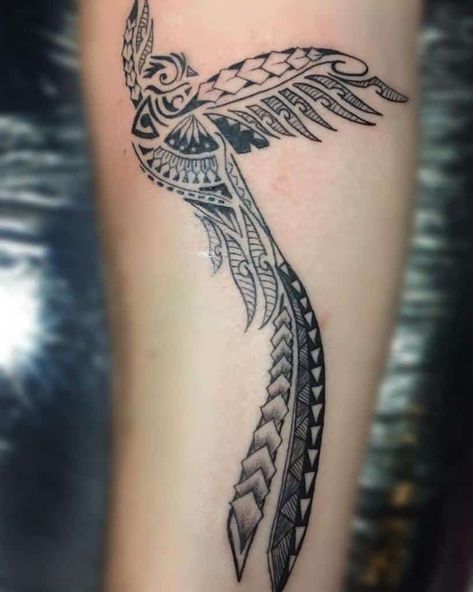 Blackwork Quetzal Tattoos Chochibolch Mayan Bird Tattoo, Small Aztec Tattoo For Men, Tikal Guatemala Tattoo, Mayan Tattoo Ideas, Resplendent Quetzal Tattoo, Guatemalan Tattoo For Women, Aztec Bird Tattoo, Guatemala Tattoo Ideas Design, Quetzal Tattoo Guatemalan