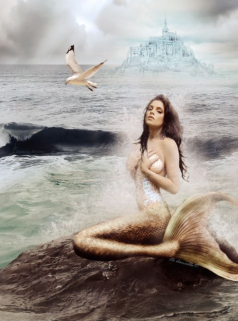 Mermaid: Ashley Greene by itsdanielle91.deviantart.com on @deviantART Hair Orange, Beneath The Sea, Underwater Sea, Mermaids And Mermen, Ashley Greene, Mermaid Tails, Story Board, Beautiful Mermaids, Mermaid Art