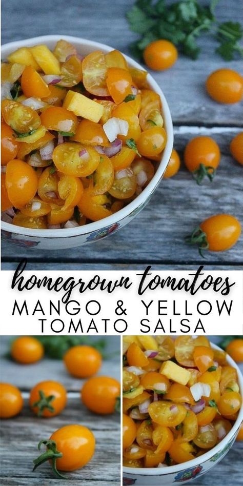 Yellow Salsa Recipe, Yellow Tomato Recipes Salsa, What To Make With Yellow Tomatoes, Yellow Tomato Salsa Canning, Recipes For Yellow Tomatoes, Recipes With Yellow Tomatoes, Yellow Tomato Sauce Recipes, Yellow Grape Tomato Recipes, Yellow Tomatoes Recipes