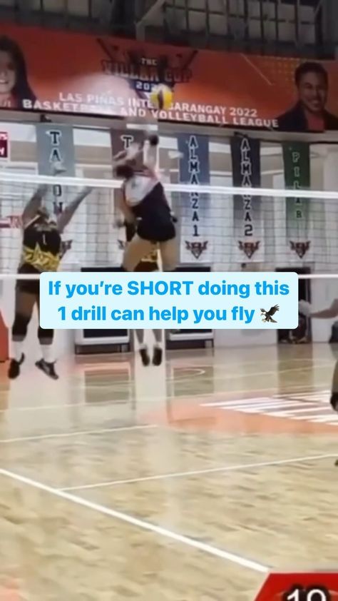 The Art of Jumping | The Jump Guy | 🤗 Short Athletes CAN jump higher!!! Please tag this athlete 👇🏻 for credit Being able to create speed is one thing. Being able to… | Instagram Volleyball Court Dimensions, Jump Higher Workout, Volleyball Conditioning, Hit Training, Volleyball Camp, Vertical Jump Training, Jump Higher, Softball Drills, Volleyball Skills