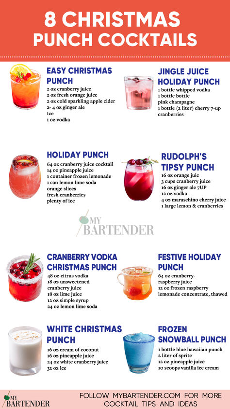 Christmas Punch Cocktails Christmas Party Food And Drinks, Christmas Drinks Alcohol Simple, Christmas Morning Punch With Vodka, Christmas Drink Party, Christmas Party Food And Drink Ideas, Fun Christmas Alcoholic Drinks, Alcoholic Cranberry Drinks, New Year Alcoholic Drinks, Cranberry Rum Punch