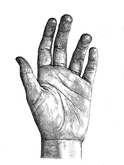 Hands Pen Drawing, Hand Ink Drawing, Vintage Hand Drawing, How To Crosshatch, Cross Hatching Drawing Easy, How To Draw A Hand, Crosshatching Art, Crosshatching Drawing, Cross Hatching Drawing