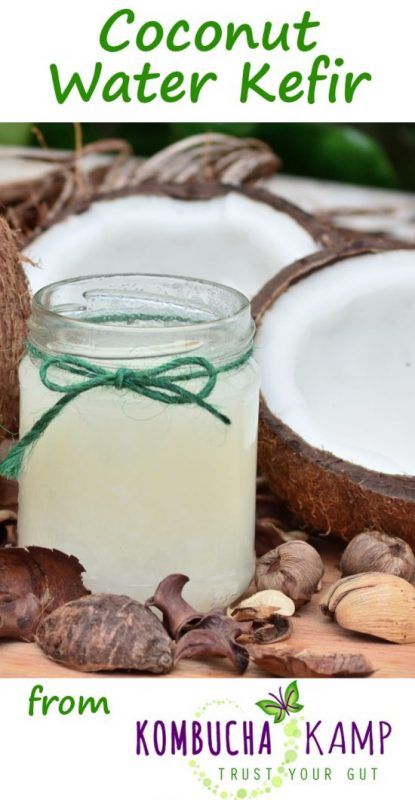 Coconut Water Kefir is an easy, healthful alternative for those with serious sugar issues or anyone who wants to make a delicious beverage at home! Water Kefir Grains, Kefir Recipes, Healthy Nutrition Plan, Medicine Tips, Kefir Grains, Water Kefir, Proper Nutrition, Fermented Foods, Healthy Nutrition