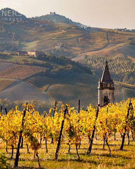 Italian Autumn, Italy Countryside, Chianti Italy, Italian Vineyard, Perugia Italy, Piedmont Italy, Italy Landscape, Hot Cider, Italian Landscape