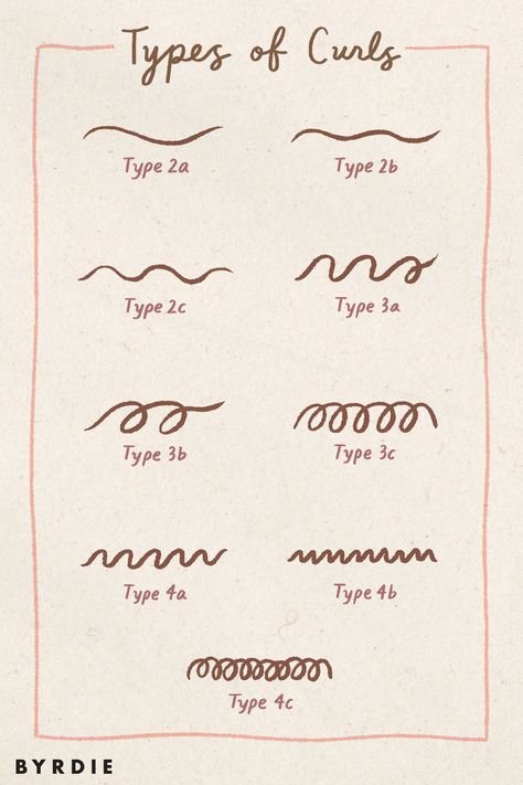 2b Type Hair, Curl Levels Chart, Curl Pattern Chart, Curl Chart, Curl Type Chart, 2c Curls, Type 2 Hair, Types Of Curly Hair, Hair Type Chart