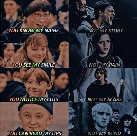 Citate Harry Potter, Art Harry Potter, Glume Harry Potter, Funny Harry Potter Jokes, Harry Potter Memes Hilarious, Harry Potter Spells, Modern Bowl, Harry Potter Feels, Harry Potter Puns