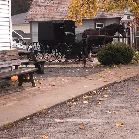 Whitmer's General Store - Winesburg, Ohio - Amish365 Muscadine Wine, Amish Country Ohio, Turtles Candy, Butterscotch Candy, Cracker Candy, Amish Community, Drink Alcohol, Homemade Wine, Amish Recipes