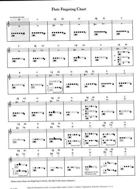 Flute Fingering Chart - from low B to high D Flute Aesthetic, Flute Fingering Chart, Oboe Music, Flute Notes, Flute Lessons, African Swimwear, Learn Music Theory, Dream Dates, Tin Whistle