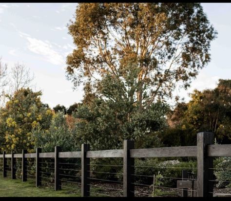 Cheap Front Fence Ideas, Acreage Fencing, Rural Fencing, Acreage Landscaping, California Landscaping, Property Gates, Tamborine Mountain, Deck Railing Ideas, Country Fences