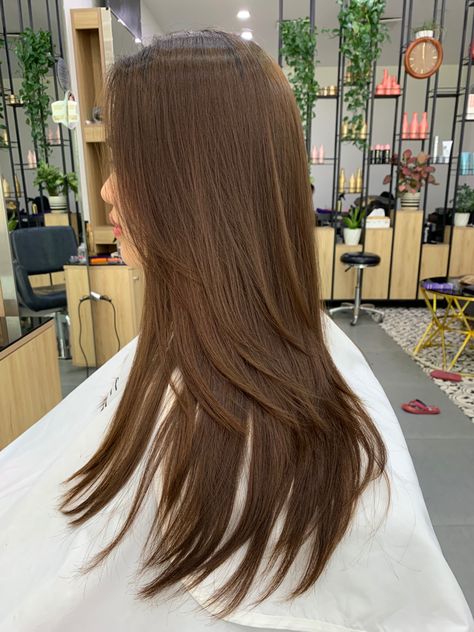 Chesnutt Brown Color Hair Straight, Light Golden Brown Hair, Hair Dye Videos, Golden Brown Hair Color, Golden Brown Hair, Cabello Hair, Hair Color Chocolate, Red Hair Inspo, Brown Hair Looks