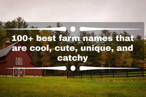 Funny Farm Names, Farm Names Unique, Farm Names Ideas, Cool Unique Names, Farm Names, Ranch Names, Farm Room, Unique Business Names, Crop Farming