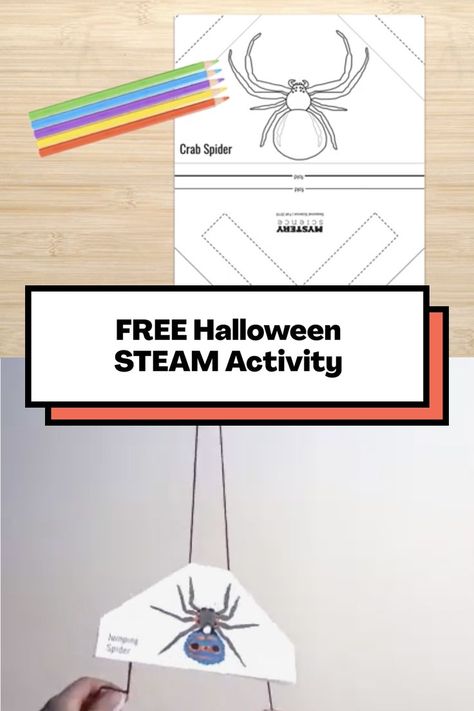 FREE Halloween STEAM Activity: Spider Climber Spider Stem Activities, Spider Parachute Stem, Stem Spider Web Challenge, Spiders Kindergarten Science, Biggest Spider, Spider Writing Activity, Spider Lessons For First Grade, Paper Spider, Math Stem Activities