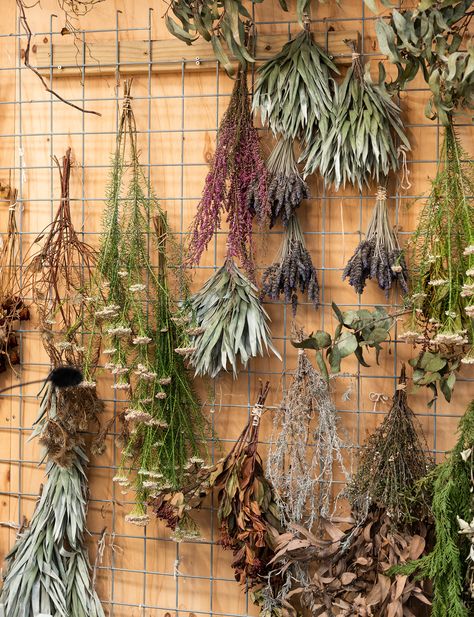 How to make a stunning, yet simple, dried floral arrangement Dried Herbs Hanging Decor, Wall Of Dried Flowers, Dry Flower Photography, Dry Flower Decoration, Dried Flower Storage Ideas, Dried Flower Storage, Dry Plants Decoration, Hanging Flowers Decor, Flower Drying Rack