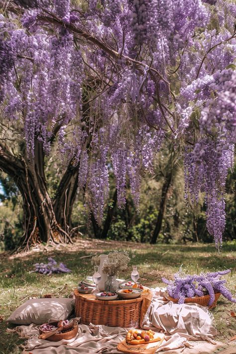 Embrace the enchantment of spring with a dreamy picnic under a canopy of cascading wisteria blooms. Wisteria Color, Purple Tree, Picnic Under Tree, Dreamy Places, Garden Flower, Wisteria Aesthetic, Wisteria Canopy, Spring Picnic, Wisteria Tree Aesthetic Wallpaper