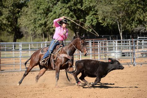 Roping Pictures, Roping Horses, Dear Rodeo, Breakaway Roping, Horse Projects, Roping Horse, Drawing Horses, Working Cow Horse, Western Horses