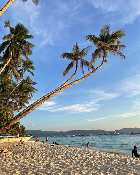 Palm trees 🌴 and sunsets 🌅 in lovely Boracay #boracay #palmtrees #beach #philippines Boracay Aesthetic, 2030 Vision, Boracay Sunset, Beach Philippines, Philippines Beach, Boracay Beach, Philippines Beaches, Island Aesthetic, Boracay Philippines