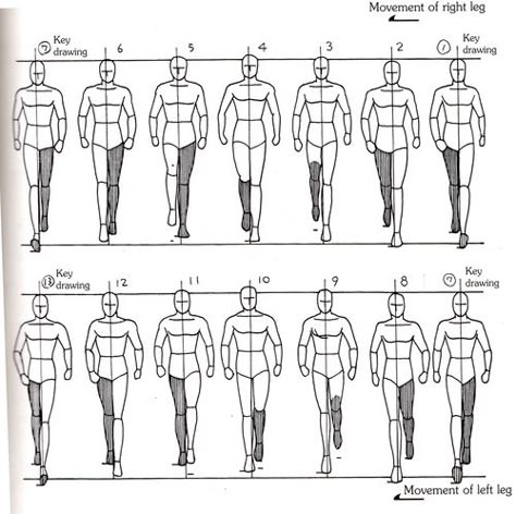 Walk Cycle Reference, Animation Cycle, Drawing Walking, Animation Walk Cycle, Walking Animation, Walking Poses, Paracord Handle, Walk Cycle, Animation Tips