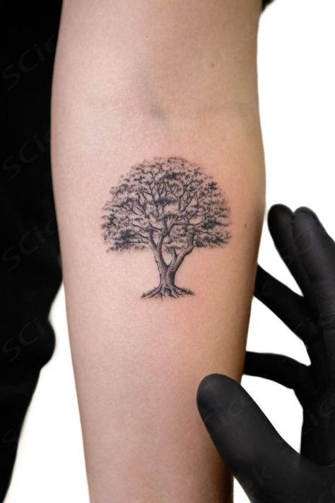 Looking for some micro-realism, fine line tattoo ideas? Realistic Tree Tattoo, Microrealism Tattoo, Tree Roots Tattoo, Micro Realism, Fine Line Tattoo Ideas, Roots Tattoo, Oak Tree Tattoo, Line Tattoo Ideas, Scar Tattoo