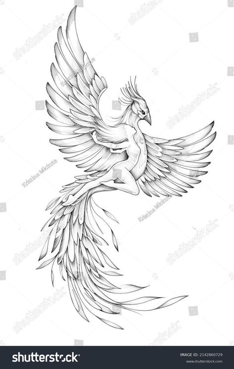 Feniks Tattoo, Women Tattoo Design, Phoenix Tattoo Sleeve, Phoenix Feather Tattoos, Tato Phoenix, Phoenix Tattoo Feminine, Small Phoenix Tattoos, Phoenix Bird Tattoos, 42 Tattoo