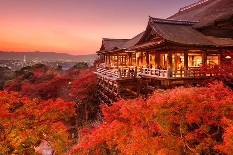 The Kiyomizu-dera Temple, an important UNESCO World Heritage Site, lies in a picturesque location on Otowa Mountain overlooking the city. Kiyomizu-dera Temple, Kyoto Itinerary, Kiyomizu Temple, Visit Kyoto, Shinjuku Gyoen, Hamamatsu, Kyoto Travel, Tokyo Skytree, Furano