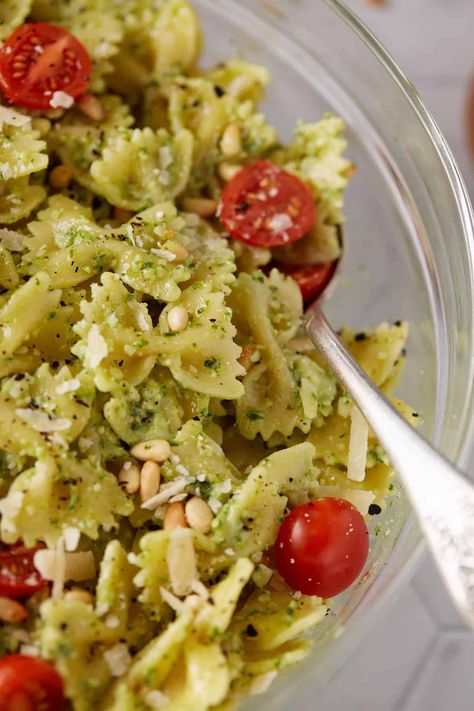 Whip up a mouthwatering bow tie pasta salad with basil pesto in no time. This recipe is packed with fresh basil and spinach and of course garlic and pine nuts. Add some cherry tomatoes for an ideal summer salad. Perfect for busy cooks, you can have it on the table in less than 30 minutes! Basil Pesto Bowtie Pasta Salad, Vegetarian Pastas, Pasta Salad With Basil, Pine Nuts Pasta, Tomato And Basil Pasta, Bow Tie Pasta Salad, Lemon Basil Pasta, Basil Pasta Salad, Bow Tie Pasta Recipe