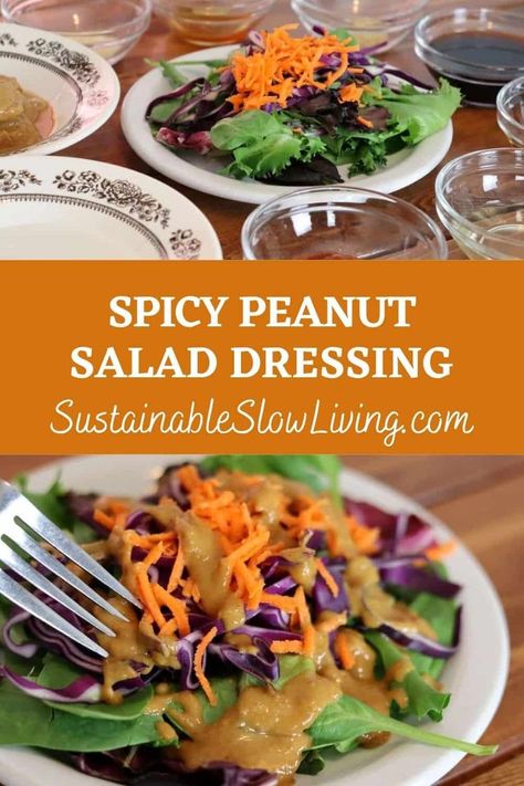 That spicy peanut salad dressing that they put on your starter salads at Thai restaurants is crazy easy to make. AND it’s so darn good! Spicy Thai Peanut Dressing, Spicy Peanut Dressing Recipe, Evil Peanut Dressing, Asian Peanut Salad Dressing, Peanut Vinaigrette Dressing, Spicy Peanut Vinaigrette Recipe, Peanut Dressing Thai, Thai Peanut Dressing Recipe, Spicy Salad Dressing Recipes