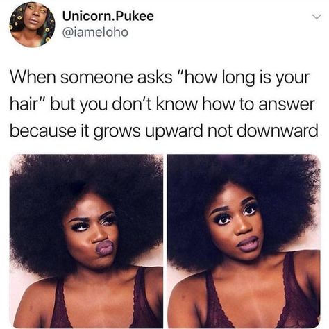 Curly Hair Problems, Humour, Natural Hair Tips, Natural Hair Memes, Hair Jokes, Girl Struggles, Afrocentric Earrings, Black Memes, Length Check