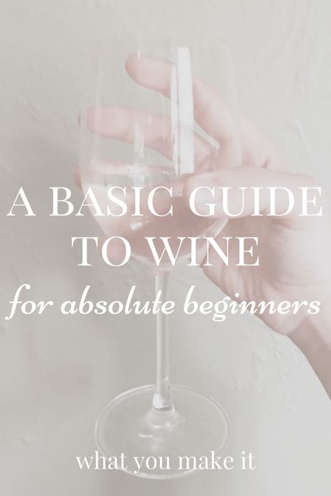 a basic guide to wine for absolute beginners - What You Make It Wine 101, Wine Recommendations, Sweet White Wine, Wine Knowledge, Wine Subscription, Wine Magazine, Wine Tasting Experience, Wine Expert, Wine Preserver