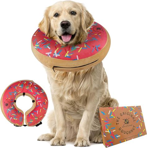 Dog Donut Collar | Great Alternative to a Traditional Dog Cone or a Soft Dog Cone Collar | Our Inflatable Dog Cone is an Excellent Cone for Dogs After... Dog Cone Alternative, Dog Donut, Dog Cone Collar, Collars For Dogs, Cone Collar, Dog Cone, Cone Of Shame, Pink Amazon, Collars Diy