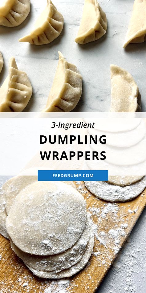 dumpling wrappers and folded dumplings Gyoza Recipe Wrappers, Pot Sticker Wrapper Recipe, Easy Dumpling Wrapper Recipe, Gf Dumplings Recipe, Gyoza Dough Recipe, Dumpling Wrappers Recipe, Homemade Gyoza Recipe, Pan Fried Dumplings Recipe, Stuffed Dumplings Recipe