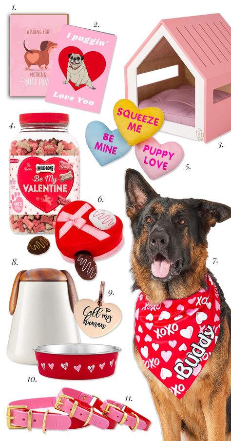 11 Cute Valentine's Gifts for Dogs - Valentine's Day gift ideas for your dog, pampered pooch, spoiled dog, dog lover, fur kids, my dog is my Valentine #valentinesgifts #bemyvalentine #doglover #giftguide Dog Gift Guide, Pug Valentine, Boxer Dog Gifts, Corgi Plush, Spoiled Dog, My Dog Is My Valentine, Dogs Accessories, Dog Valentine, Dog Accesories